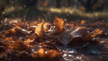 Vibrant autumn maple leaves falling in sunlight generated by AI photo