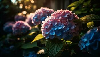 vibrante hortensia ramo de flores vitrinas naturaleza belleza en verano generado por ai foto