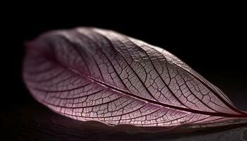 Vibrant leaf vein pattern in nature beauty generated by AI photo