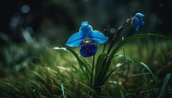 Fresh purple wildflower in meadow, selective focus generated by AI photo