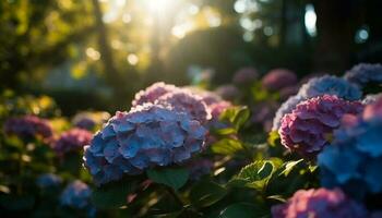 vibrante hortensia florecer, belleza en naturaleza crecimiento generado por ai foto