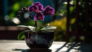 Fresco orquídea en florido florero trae elegancia generado por ai foto