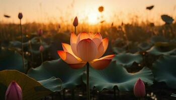loto florecer en estanque, simbolizando espiritualidad y crecimiento generado por ai foto