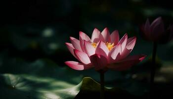 tranquilo escena de loto florecer en estanque generado por ai foto