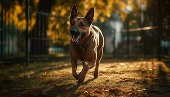 Playful terrier running in autumn grass field generated by AI photo