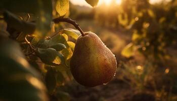 Ripe apples on green tree branch, fresh harvest generated by AI photo