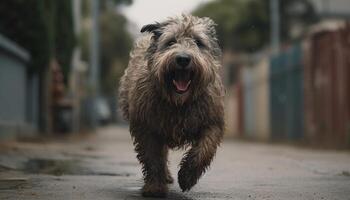 linda perrito sentado en césped, mirando juguetón generado por ai foto