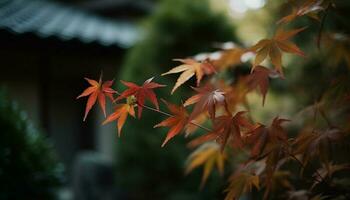 Vibrant autumn colors showcase nature beauty in November generated by AI photo