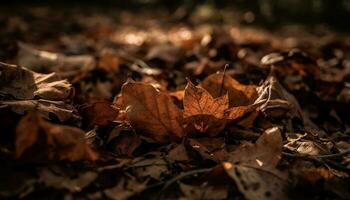 vibrante otoño colores en arce árbol rama generado por ai foto