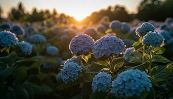 hortensia florecer, Fresco y vibrante en naturaleza jardín generado por ai foto