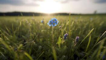 Wildflower meadow blossoms in the summer sun generated by AI photo