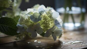 Fresh hydrangea blossom on wooden table centerpiece generated by AI photo