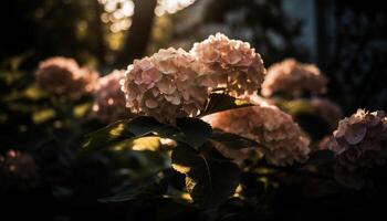 vibrante hortensia florecer en formal jardín decoración generado por ai foto