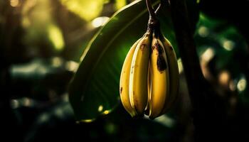 maduro plátano en Fresco verde hoja, tropical refresco generado por ai foto