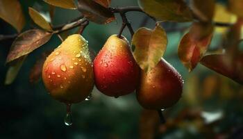 Ripe apple drops, wet with dew, refreshing generated by AI photo