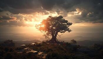 silueta de pino árbol en naranja horizonte generado por ai foto