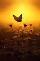 uno mariposa soportes silueta en contra un amarillo puesta de sol. ai generativo foto