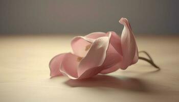 romántico rosado tulipán florecer, belleza en naturaleza, selectivo atención primer plano generado por ai foto