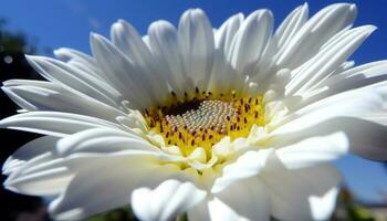 Vibrant yellow daisy head, pollen attracts bee in meadow generated by AI photo