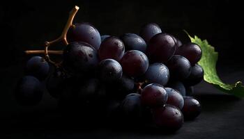 Juicy grape bunches ripe for winemaking on dark vineyard background generated by AI photo