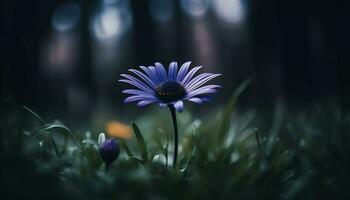 Vibrant chamomile blossom in uncultivated meadow, surrounded by natural beauty generated by AI photo