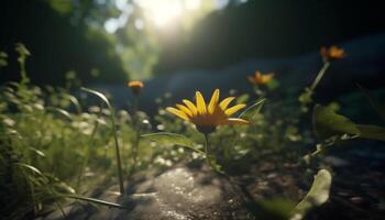 Vibrant yellow daisy in meadow, surrounded by green foliage generated by AI photo