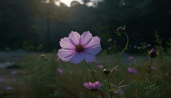 Vibrant wildflower meadow showcases beauty in nature colorful decoration generated by AI photo