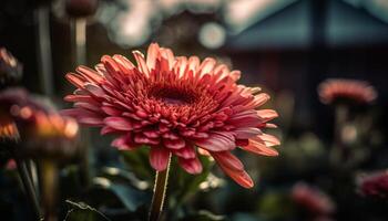 Vibrant bouquet showcases beauty in nature multi colored floral patterns generated by AI photo