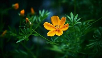 Vibrant wildflower meadow showcases beauty in nature fragility generated by AI photo