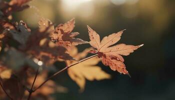 vibrante otoño follaje en arce árbol rama en natural bosque generado por ai foto