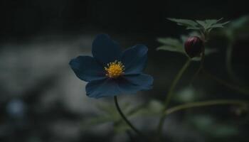 Fresh wildflower growth in meadow, beauty in nature multi colored blossom generated by AI photo