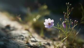 Wildflower meadow showcases beauty in nature growth and freshness generated by AI photo