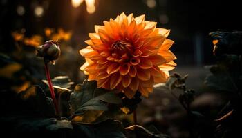 Vibrant bouquet of multi colored flowers in a formal garden generated by AI photo