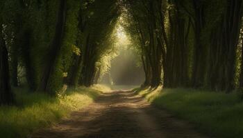 Tranquil country road vanishing into mysterious autumn forest generated by AI photo