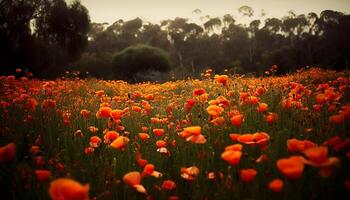 Vibrant wildflowers bloom in tranquil meadow at sunrise, uncultivated beauty generated by AI photo