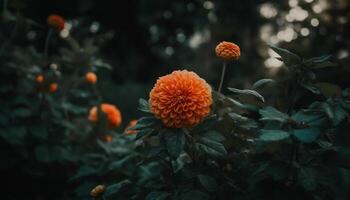 Vibrant yellow flower head in close up, surrounded by green foliage generated by AI photo