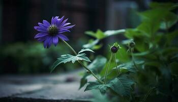 Fresh purple wildflower blossom in close up, showcasing natural beauty generated by AI photo