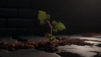 Fresh green seedling grows in wet mud, surrounded by nature generated by AI photo