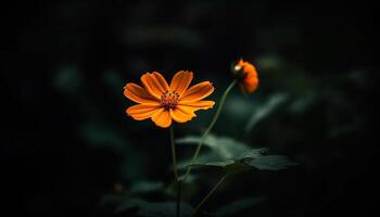 vibrante flor silvestre prado, soltero amarillo margarita en atención primer plano generado por ai foto