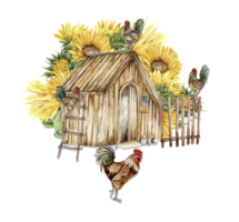 Watercolor wooden farmhouse. sunflowers and cock composition. png