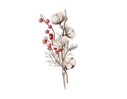 Cotton branches and red berries composition . png