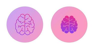 Brain Vector Icon