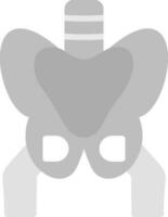 Pelvis Vector Icon Design