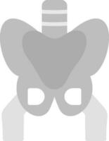 pelvis vector icono diseño