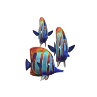 peixe isolado em fundo png