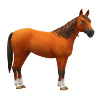 horse isolated on background png