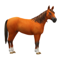 cavalo isolado em fundo png