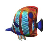 fish isolated on background png