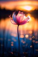 macro fotografía de un épico puesta de sol a un hermosa escénico lago como visto mediante el translúcido pétalo de un flor floreciente en el césped. ai generativo foto