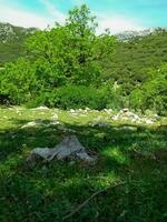 Mountain kelti summit in Chefchaouen photo